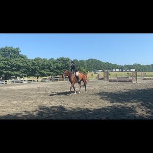 Meet your Posher, Hannah